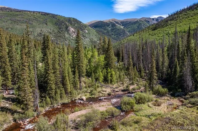 18990 Cr-294 Nathrop, CO 81236
