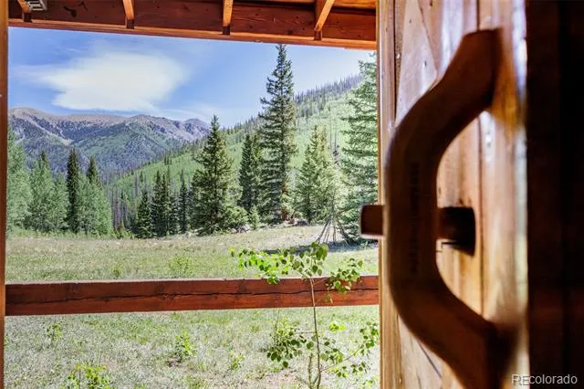 18990 Cr-294 Nathrop, CO 81236