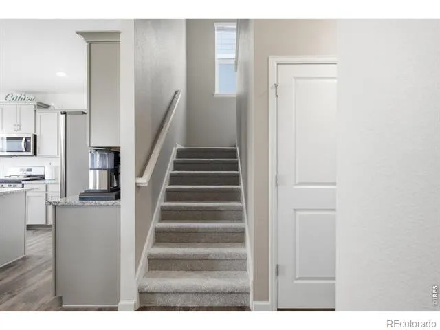 1347 Copeland Falls Road Severance, CO 80550