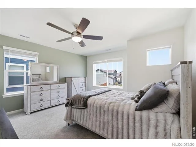 1347 Copeland Falls Road Severance, CO 80550