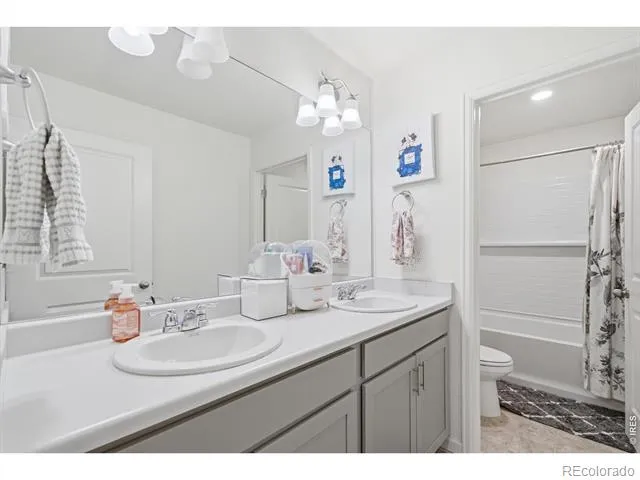 1347 Copeland Falls Road Severance, CO 80550
