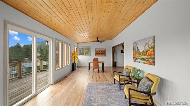 925 Midland Court Lake George, CO 80827