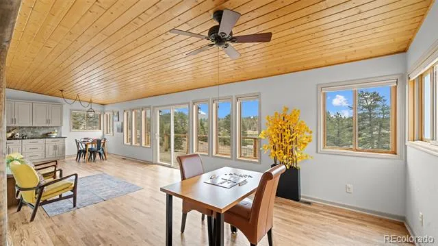 925 Midland Court Lake George, CO 80827
