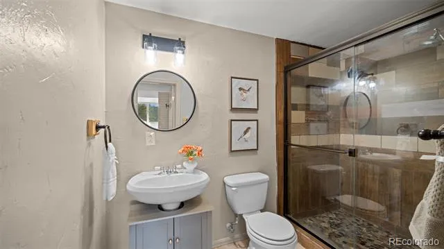 925 Midland Court Lake George, CO 80827