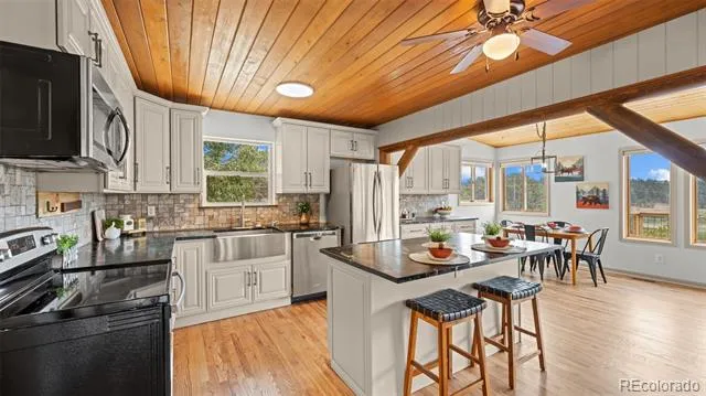 925 Midland Court Lake George, CO 80827