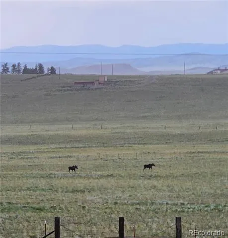 2660 Campfire Road Hartsel, CO 80449