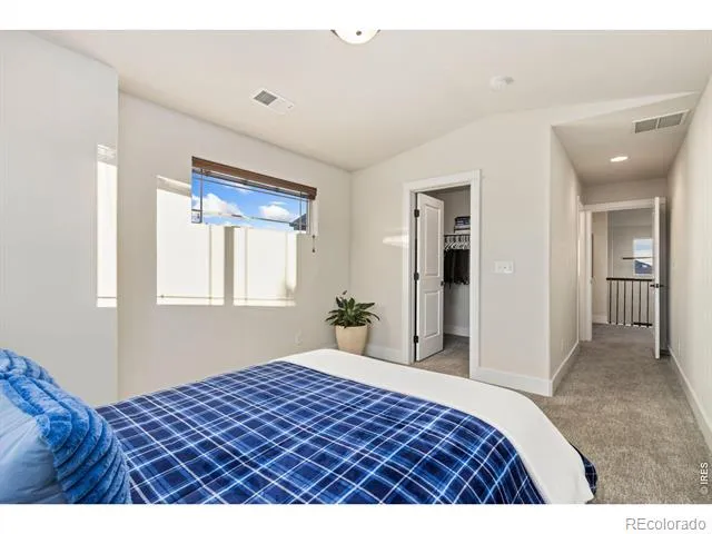 6682 Crooked Stick Drive Windsor, CO 80550