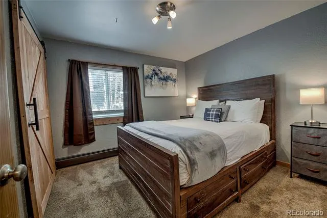 214 S Harris Street #106 Breckenridge, CO 80424