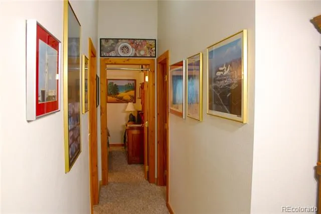 2916 Campfire Road Hartsel, CO 80449