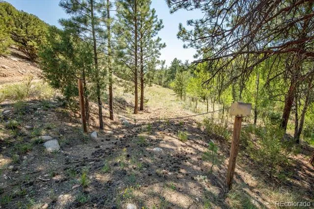 000 TBD Kiowa Road Salida, CO 81236