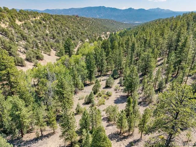 000 TBD Kiowa Road Salida, CO 81236