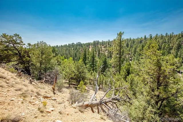 000 TBD Kiowa Road Salida, CO 81236