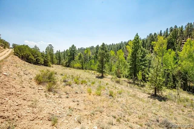 000 TBD Kiowa Road Salida, CO 81236