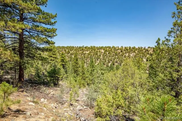 000 TBD Kiowa Road Salida, CO 81236