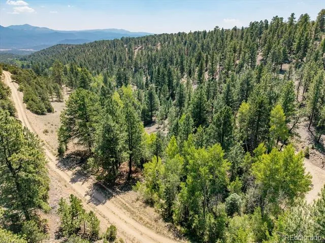 000 TBD Kiowa Road Salida, CO 81236