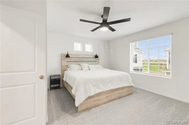 4093 Zebrawood Lane Johnstown, CO 80534