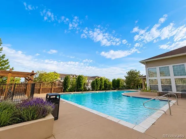 494 Black Feather Loop #106 Castle Rock, CO 80104