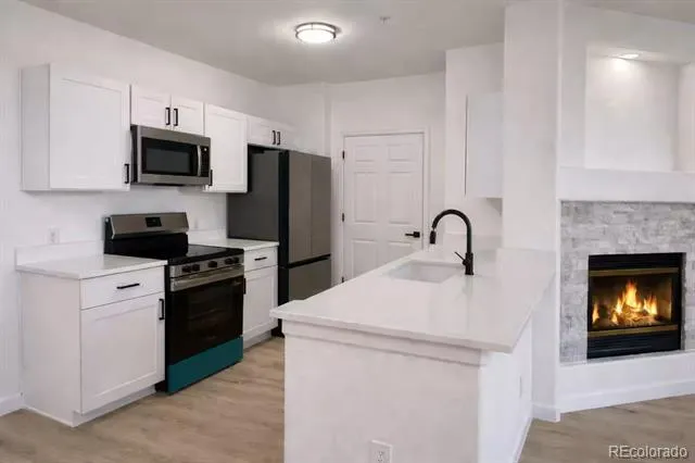 494 Black Feather Loop #106 Castle Rock, CO 80104