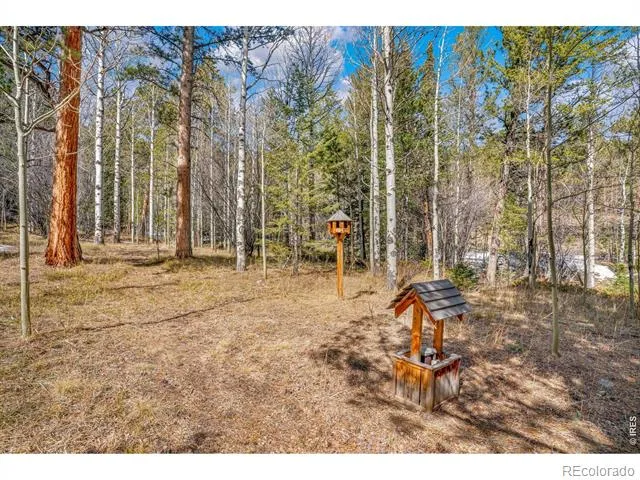 251 Haugen Slide Road Allenspark, CO 80510