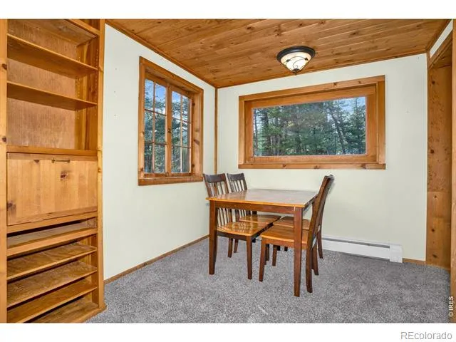 251 Haugen Slide Road Allenspark, CO 80510
