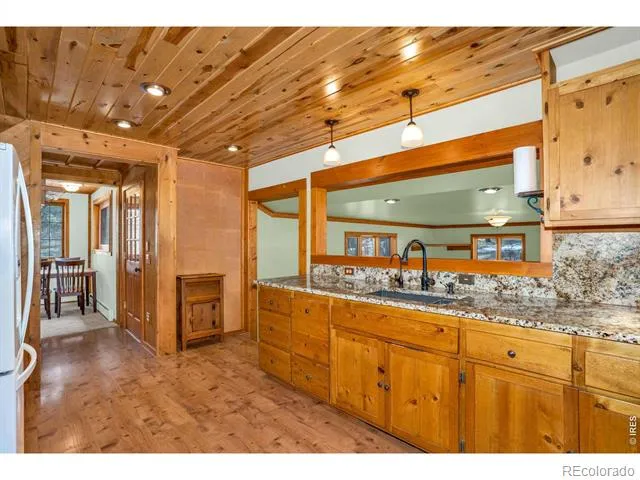 251 Haugen Slide Road Allenspark, CO 80510