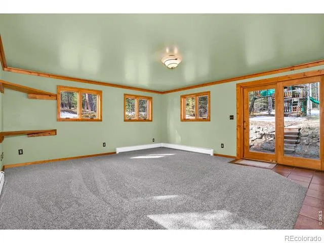 251 Haugen Slide Road Allenspark, CO 80510