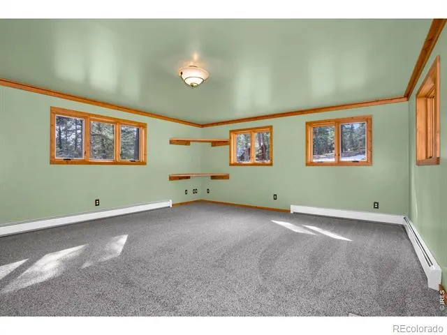 251 Haugen Slide Road Allenspark, CO 80510