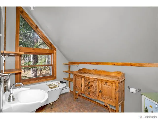 251 Haugen Slide Road Allenspark, CO 80510