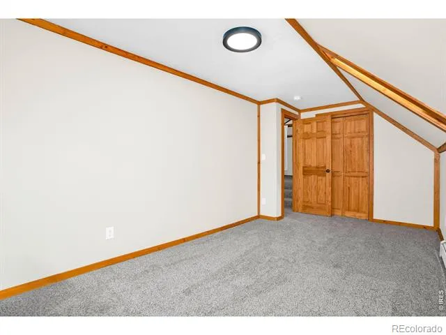 251 Haugen Slide Road Allenspark, CO 80510