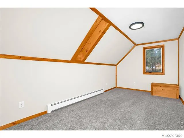 251 Haugen Slide Road Allenspark, CO 80510