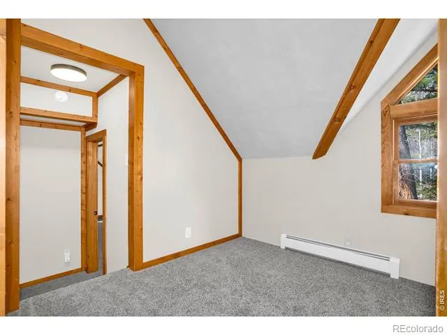 251 Haugen Slide Road Allenspark, CO 80510