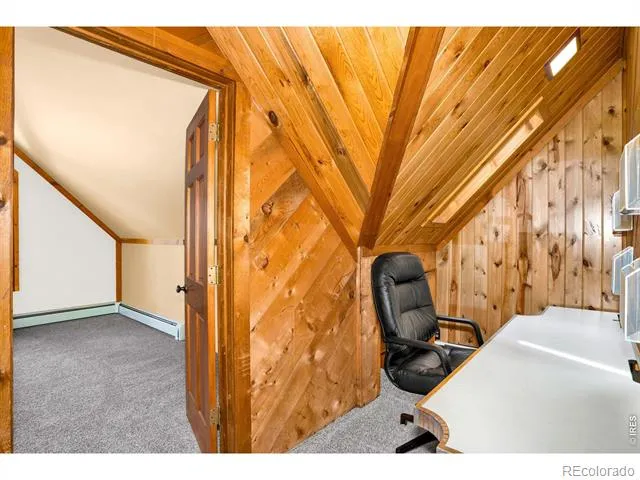 251 Haugen Slide Road Allenspark, CO 80510
