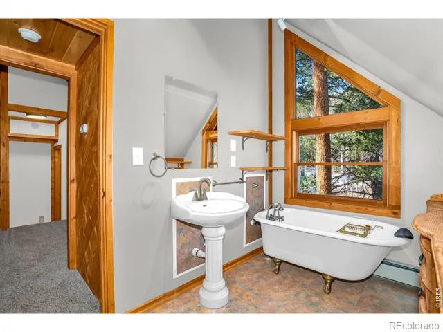 251 Haugen Slide Road Allenspark, CO 80510