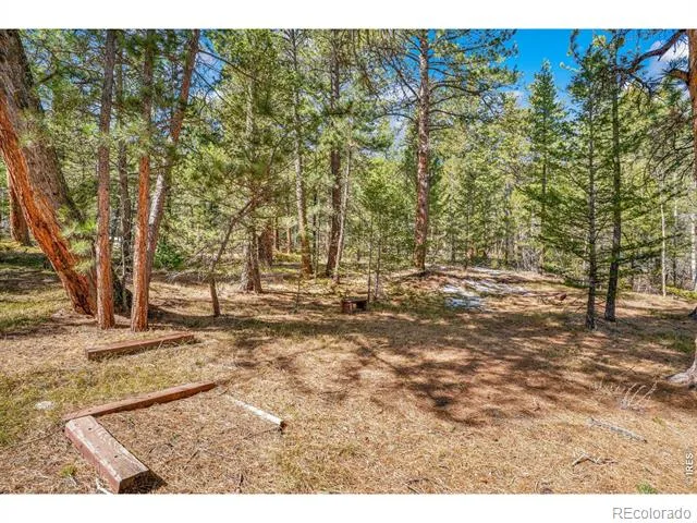 251 Haugen Slide Road Allenspark, CO 80510