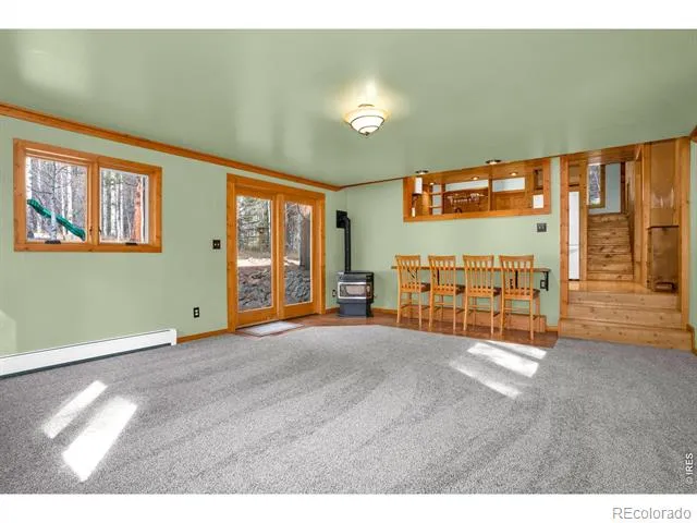 251 Haugen Slide Road Allenspark, CO 80510