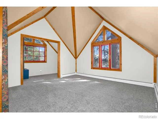 251 Haugen Slide Road Allenspark, CO 80510