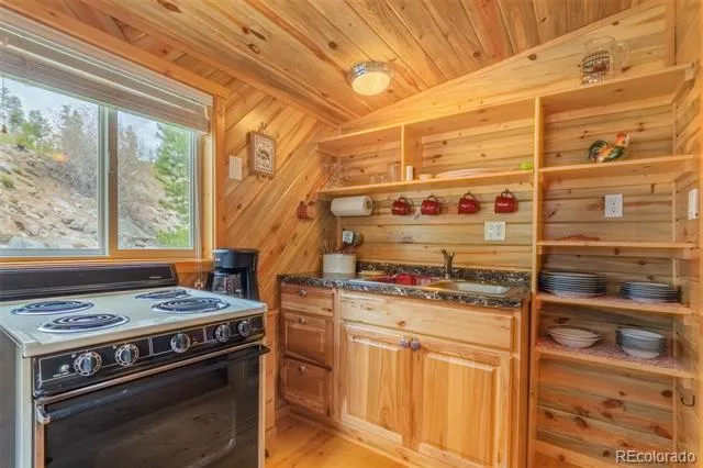 1450 Pine Lane #A Grand Lake, CO 80447