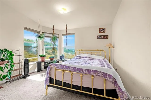 1528 County Road 1 Cripple Creek, CO 80813