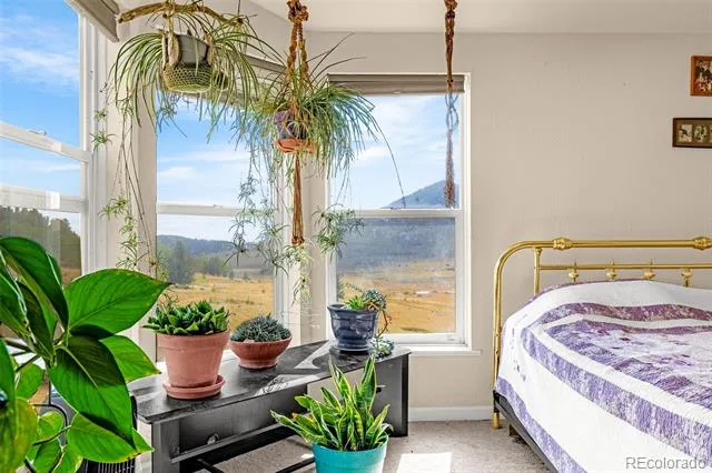 1528 County Road 1 Cripple Creek, CO 80813