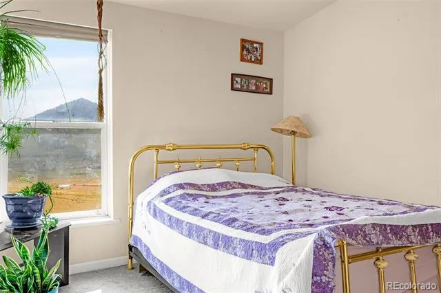 1528 County Road 1 Cripple Creek, CO 80813