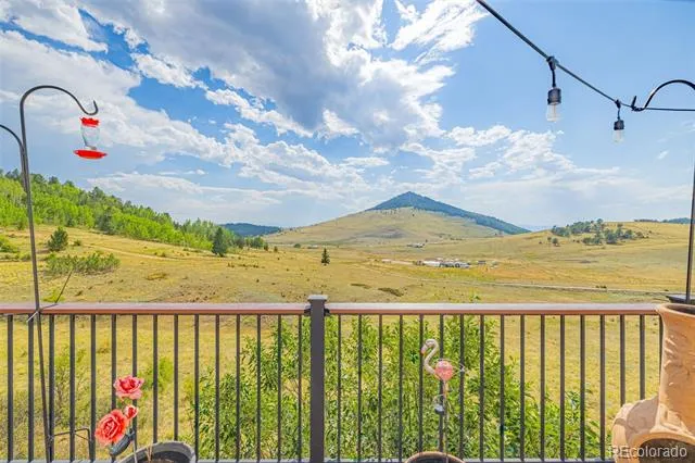 1528 County Road 1 Cripple Creek, CO 80813
