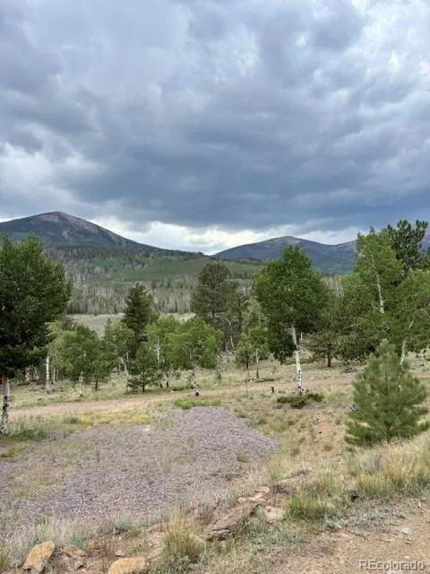 36266 County Road Nn 46 Villa Grove, CO 81155