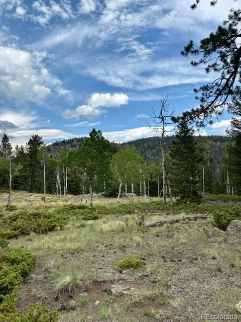 36266 County Road Nn 46 Villa Grove, CO 81155