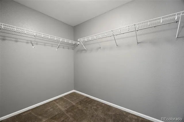 6458 Trappers Trail Avenue Parker, CO 80134