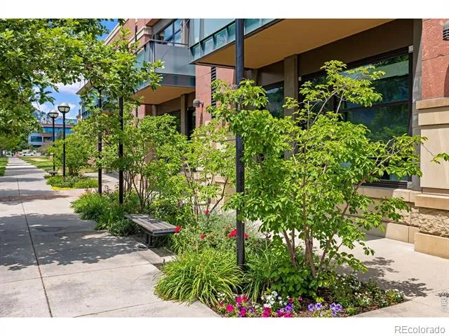 1077 Canyon Boulevard #305 Boulder, CO 80302