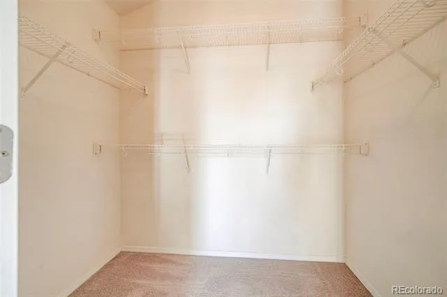 835 Ridgebury Place Fountain, CO 80817
