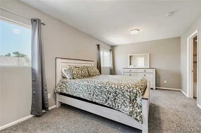 805 Pintail Avenue Brighton, CO 80601