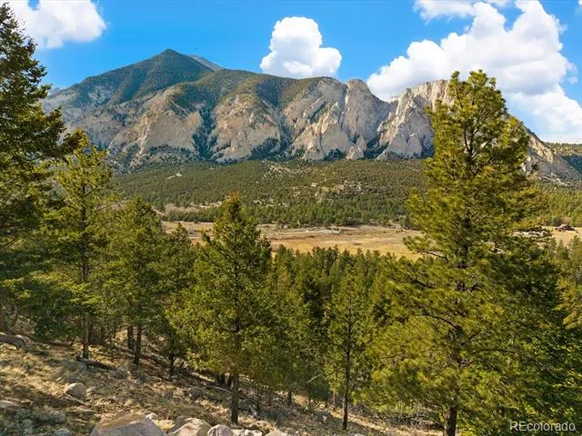 16382 Falcon Drive Nathrop, CO 81236