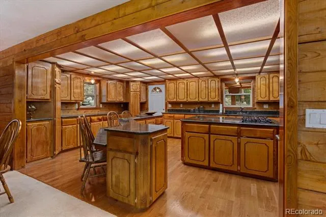 16382 Falcon Drive Nathrop, CO 81236
