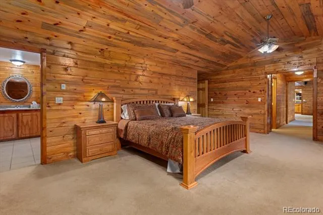 16382 Falcon Drive Nathrop, CO 81236